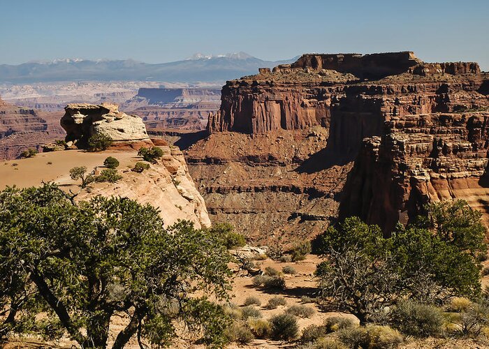 Photography Greeting Card featuring the photograph Canyonlands by Lee Kirchhevel