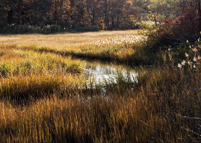 Cape Cod Greeting Card featuring the photograph Cape Cod Marsh by Frank Winters