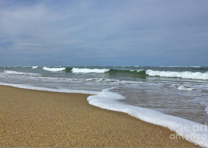 Cape Cod Greeting Card featuring the photograph Cape Cod Provincelands by Amazing Jules