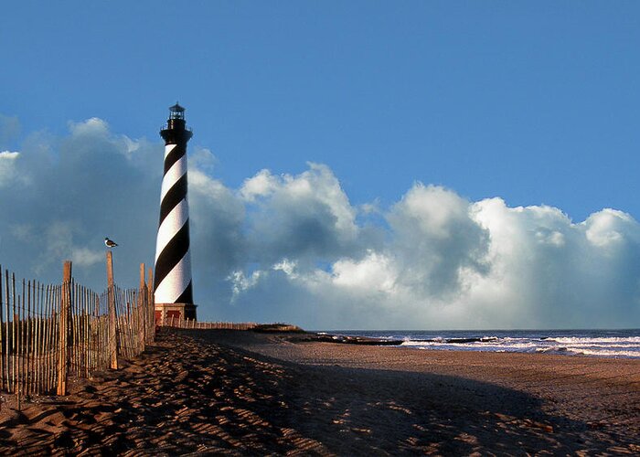 Lighthouses Greeting Card featuring the photograph Cape Hatteras Lighthouse Nc by Skip Willits