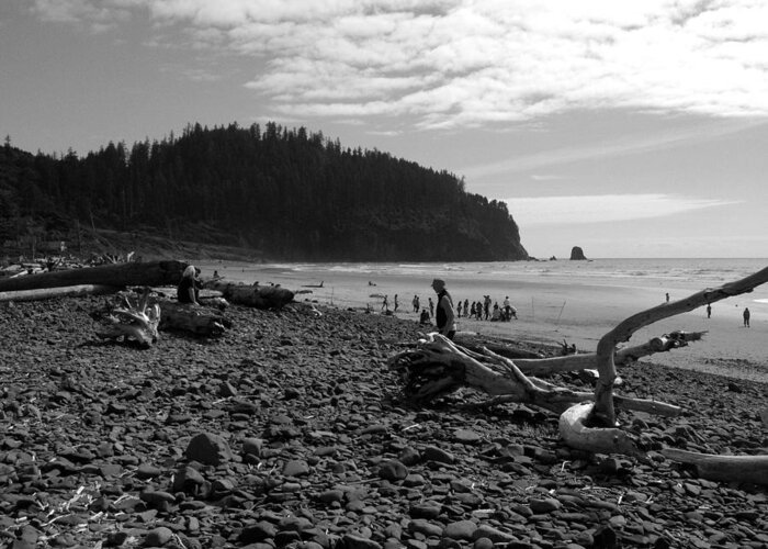 Cape Meares Greeting Card featuring the photograph Cape Meares by Chriss Pagani