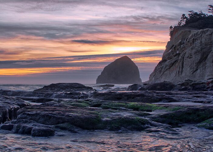 Cape Greeting Card featuring the photograph Cape Rocks and Surf Sunset by Chriss Pagani