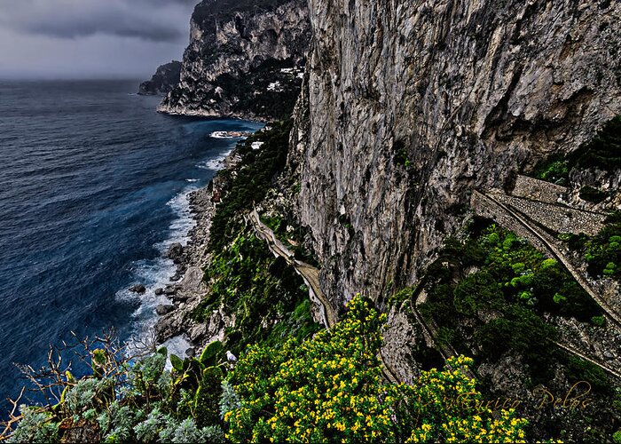 Capri Greeting Card featuring the photograph CAPRI Krupp path rocks coast by Enrico Pelos