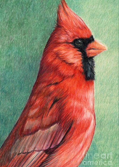 Bird Greeting Card featuring the drawing Cardinal Profile by Charlotte Yealey