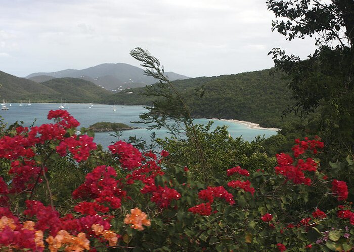 Landscape Greeting Card featuring the photograph Caribbean Delight 1 by Karen Zuk Rosenblatt