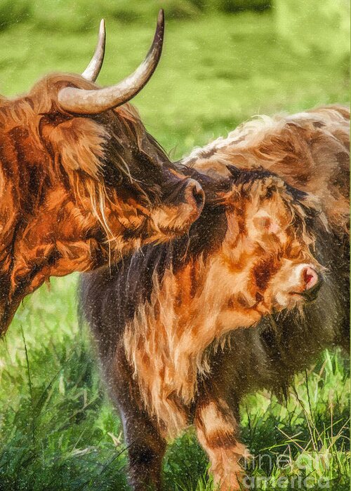 Highland Cow Greeting Card featuring the digital art Caring Mother by Liz Leyden