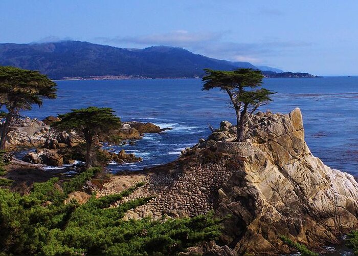 Seascape Sea Ocean Tree Cypress Nature Carmel Monterey California Greeting Card featuring the photograph Carmel California Lone Cypress by Julie Lourenco