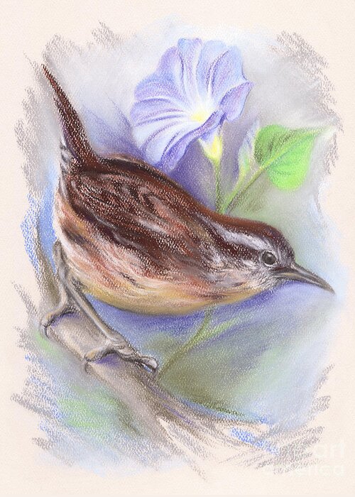 Bird Greeting Card featuring the pastel Carolina Wren with Morning Glory by MM Anderson