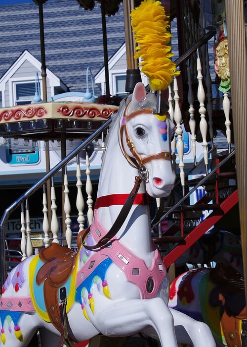 Horse Greeting Card featuring the photograph Carousel Steed by Greg Graham