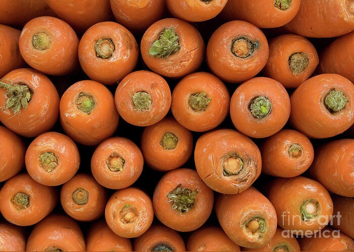 Carrot Greeting Card featuring the photograph Carrots by Rick Piper Photography