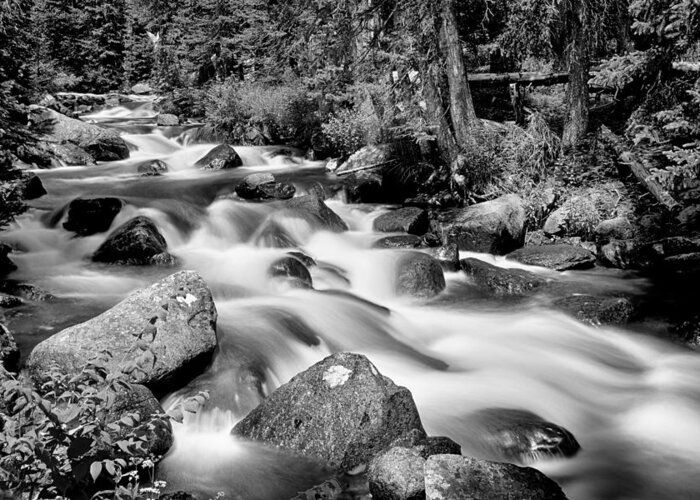 Mountain Stream Greeting Card featuring the photograph Cascading Rocky Mountain Forest Creek BW by James BO Insogna