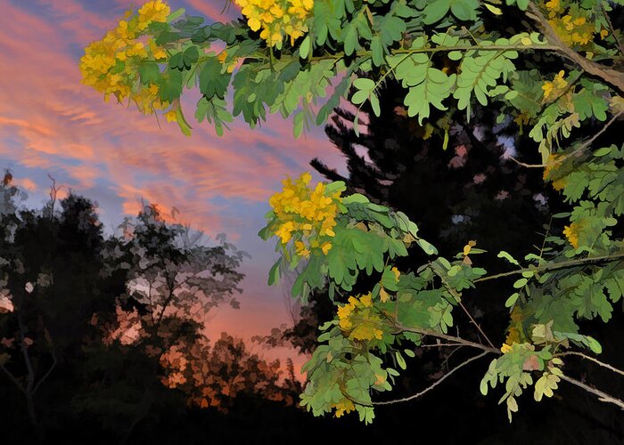 Yellow Greeting Card featuring the photograph Casia Sunrise by Sandy Poore