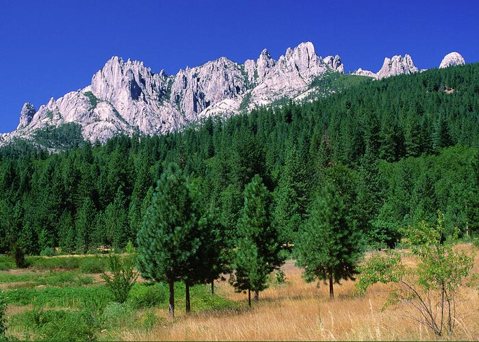 Toughness Greeting Card featuring the photograph Castle Crags From South by John Elk