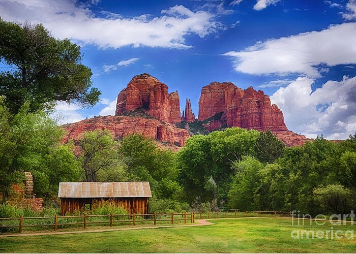 Cathedral Rock Greeting Card featuring the photograph Cathedral Rock by Priscilla Burgers