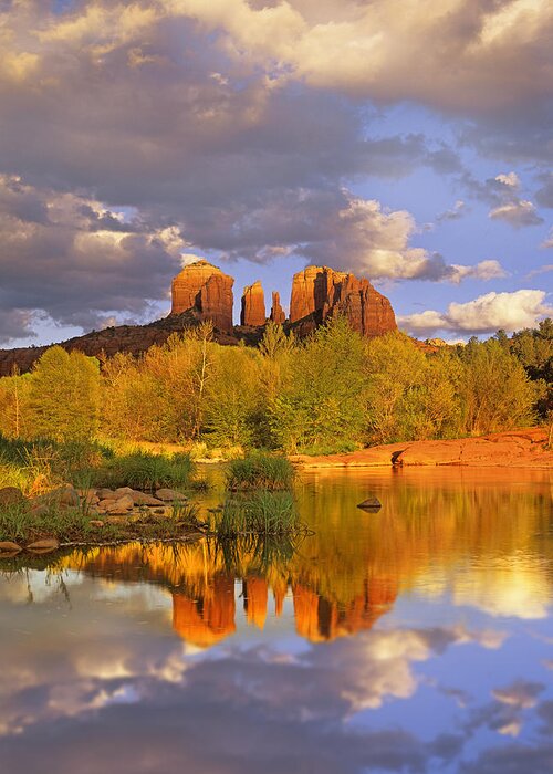 00175721 Greeting Card featuring the photograph Cathedral Rock Reflected In Oak Creek by Tim Fitzharris