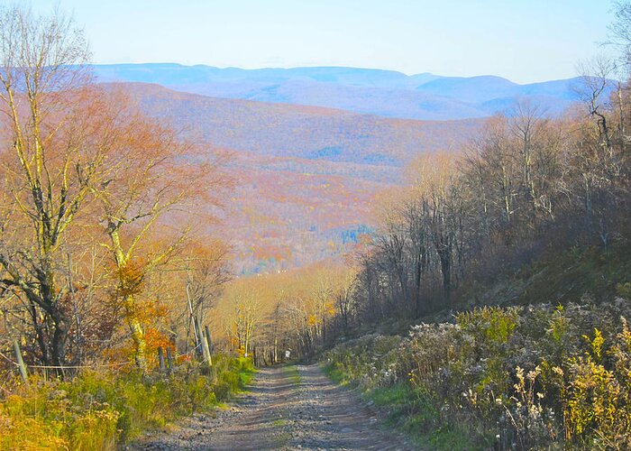 Catskill Mtns Greeting Card featuring the photograph Catskill Mtn. Dirt Road by Kathryn Barry