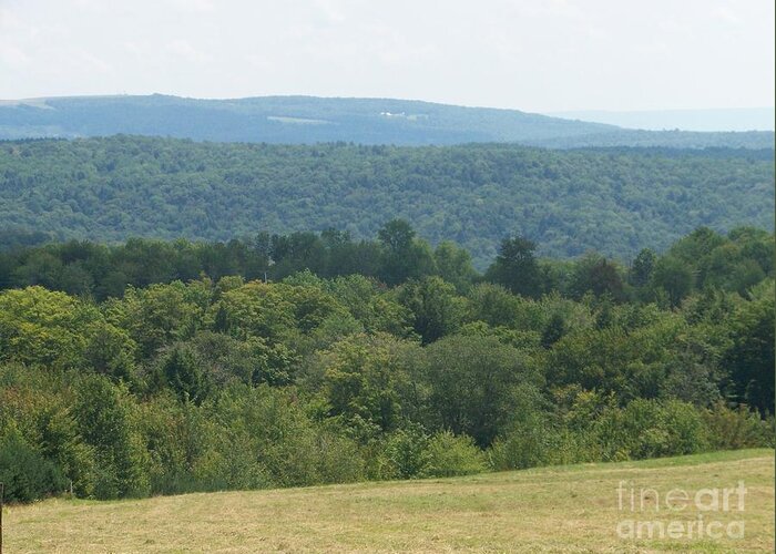 Catskill Rolling Hills Greeting Card featuring the photograph Catskill Rolling Hills by Kevin Croitz
