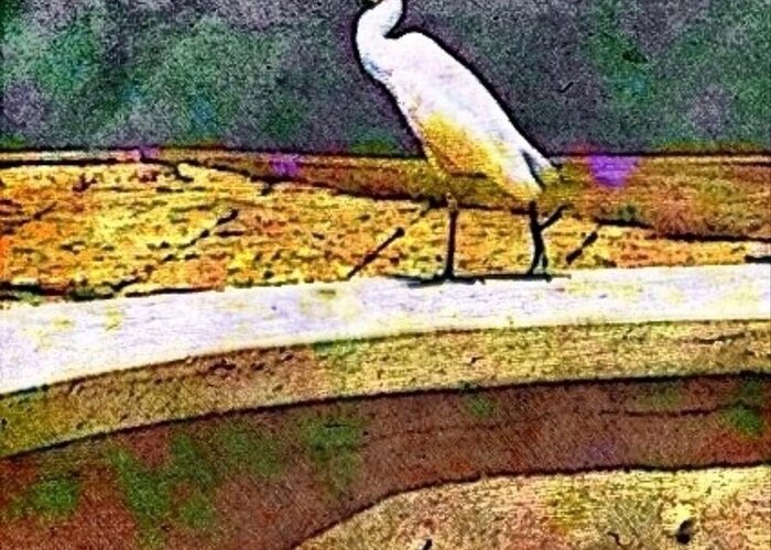 Sharkcrossing Greeting Card featuring the digital art S Cattle Egret in Town - Square by Lyn Voytershark
