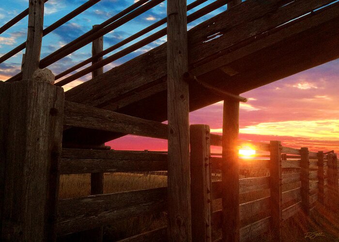 Cattle Pens Greeting Card featuring the photograph Cattle Pens by Rod Seel