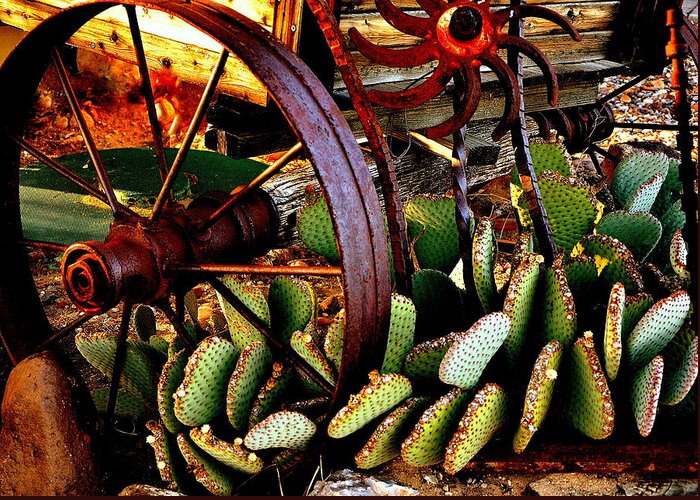 Wagon Wheel Greeting Card featuring the photograph Caught in a Cactus Patch-SOLD by Antonia Citrino