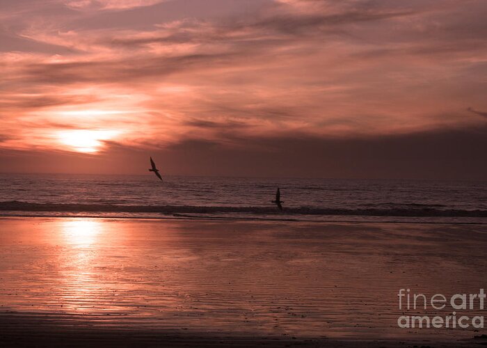 Background Sunset Greeting Card featuring the photograph Cayucos Beach with Seagulls by Ian Donley