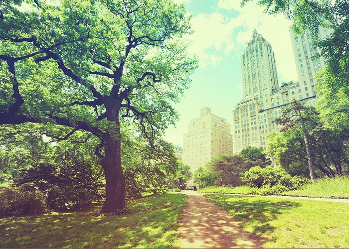Central Park Greeting Card featuring the photograph Central Park New York City by Rike 