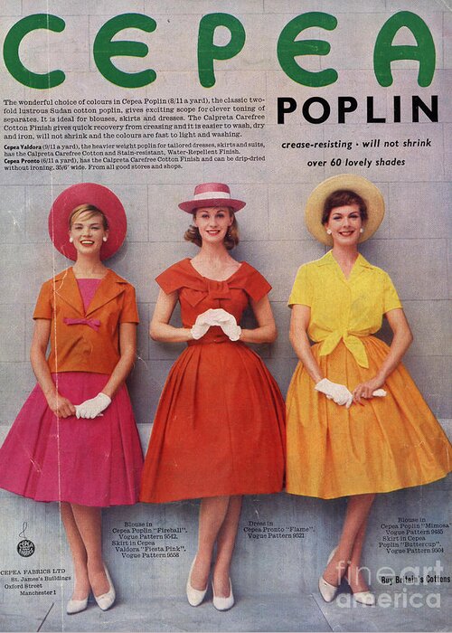 1960s Greeting Card featuring the drawing Cepea Poplin 1959 1950s Uk Womens by The Advertising Archives