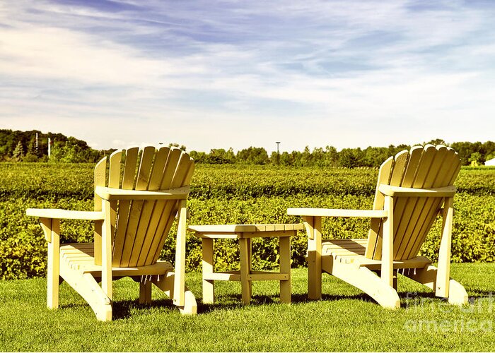 Vineyard Greeting Card featuring the photograph Chairs overlooking vineyard by Elena Elisseeva