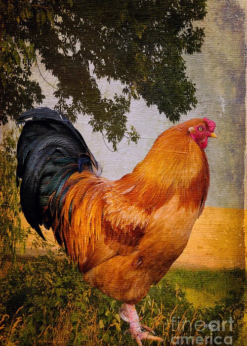 Chanticleer Greeting Card featuring the photograph Chanticleer In Blue by Lois Bryan