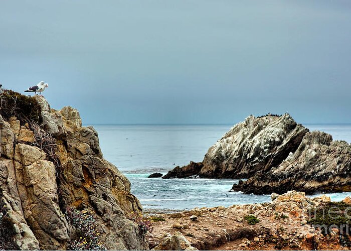 Hiway One Greeting Card featuring the photograph Chatting at Point Lobos by Joana Young