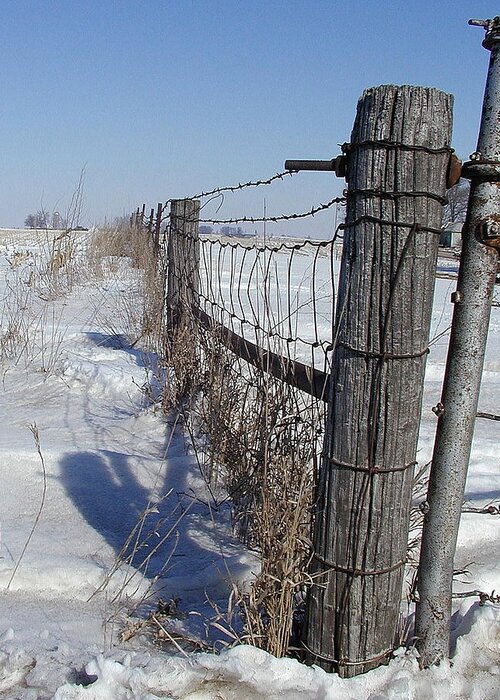 Fence Greeting Card featuring the photograph Checking the Fenceline by Susan Stephenson