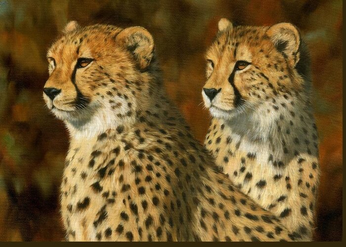 Cheetah Greeting Card featuring the painting Cheetah Brothers by David Stribbling