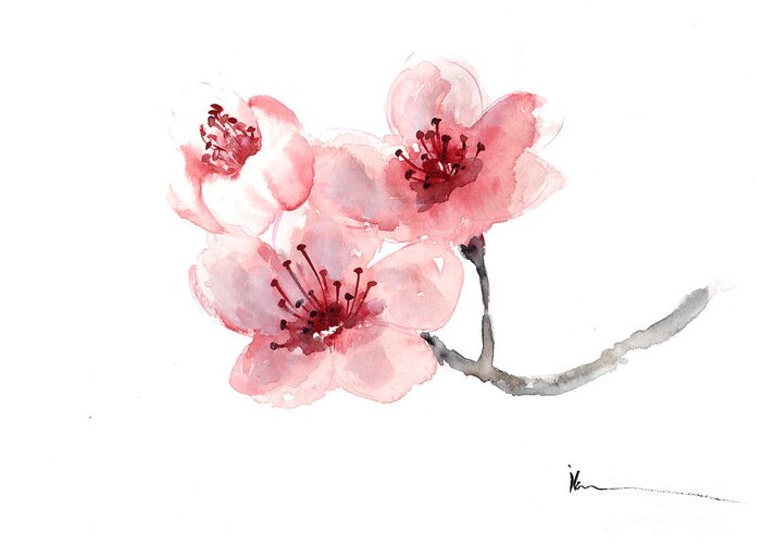 Pink Cherry Blossom Flower Drawing Done With Makeup 
