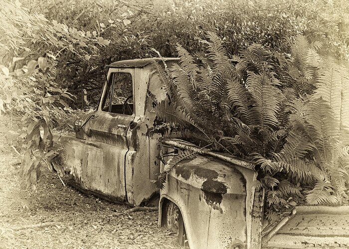 Chevy Truck Greeting Card featuring the photograph Chevy Recycled by Sandra Anderson