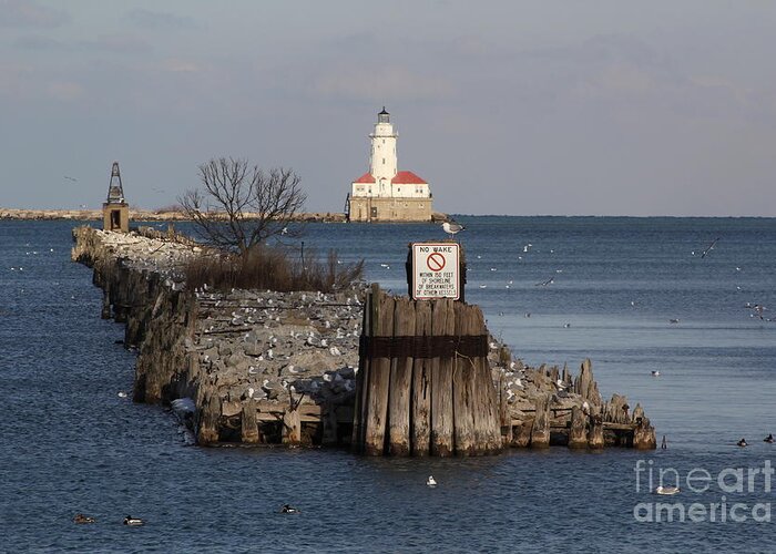 Chicago Greeting Card featuring the photograph Chicago lighthouse by Michael Paskvan
