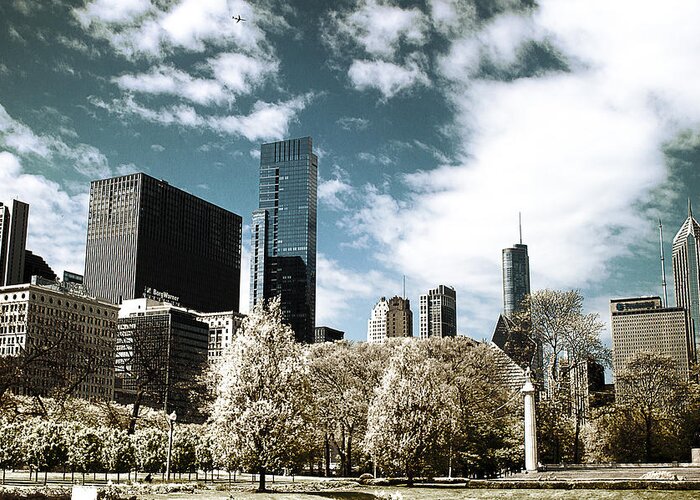 Chicago Greeting Card featuring the photograph Chicago style by Milena Ilieva