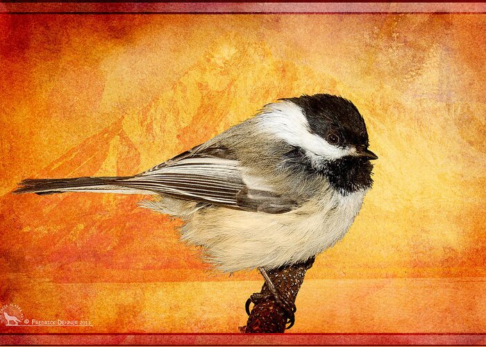 Chickadee.bird Greeting Card featuring the pyrography Chickadee by Fred Denner