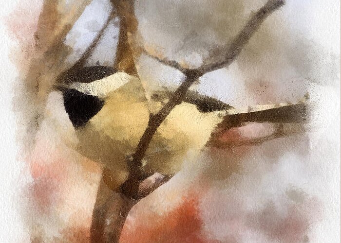 Chickadee Watercolor Greeting Card featuring the painting Chickadee Watercolor by Kerri Farley
