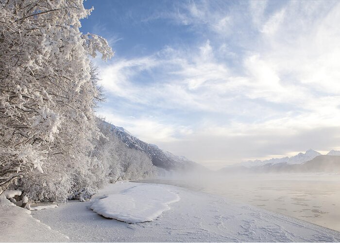 Alaska Greeting Card featuring the photograph Chilkat River Mist by Michele Cornelius