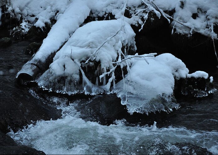 Ice Greeting Card featuring the photograph Chilled by Heather L Wright
