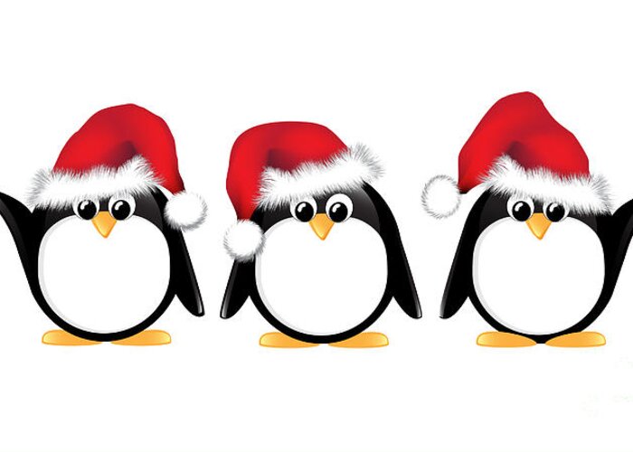 Image result for penguin christmas