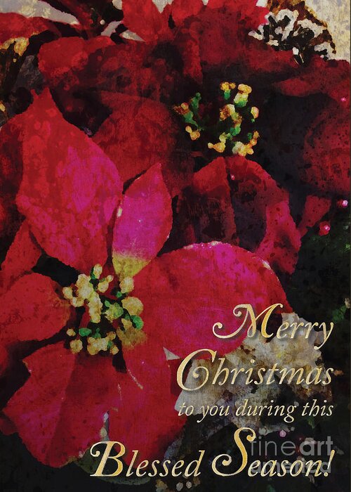 Christmas Greeting Card featuring the photograph Christmas Poinsettia by Cheryl McClure
