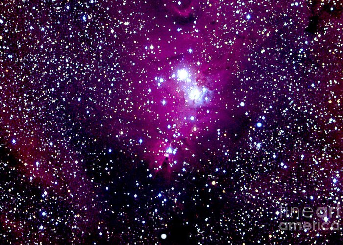 Christmas Greeting Card featuring the photograph Christmas Tree Cluster And Cone Nebula by John Chumack