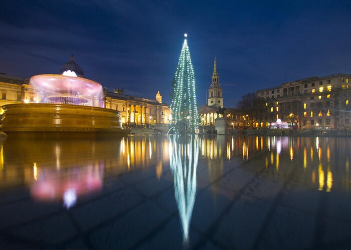London Greeting Card featuring the photograph Christmas Tree Trafalgar Square by David French