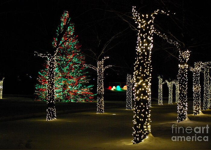 Christmas Trees Greeting Card featuring the photograph Christmas Trees at Night by Nancy Mueller