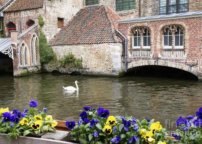 Europe Greeting Card featuring the photograph Church and Swan by Crystal Nederman