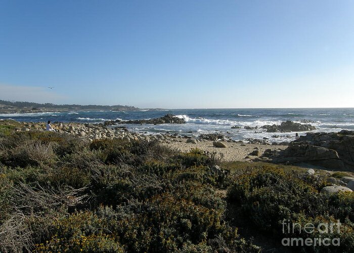 Beach Greeting Card featuring the photograph Clear Day at Asilomar Beach by Bev Conover