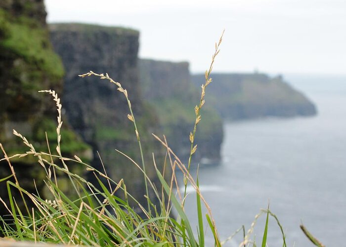 Cliffs Greeting Card featuring the photograph Cliffs of Moher by Carrie Todd