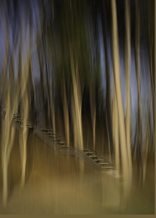 Abstract Greeting Card featuring the photograph Climbing Stairs Into The Forest by Thomas Young