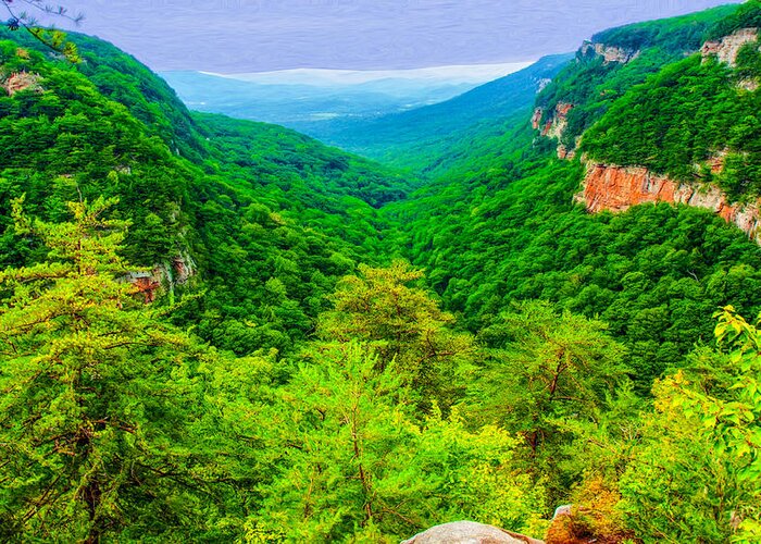 Landscape Greeting Card featuring the photograph Cloudland Canyon Expanse by John M Bailey